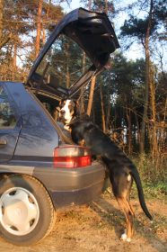 natuurlijk kan ik zelf in die auto stappen!